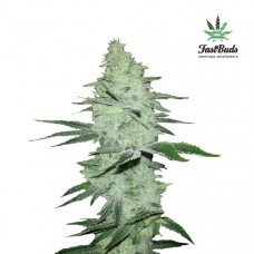 Six Shooter Auto - FastBuds